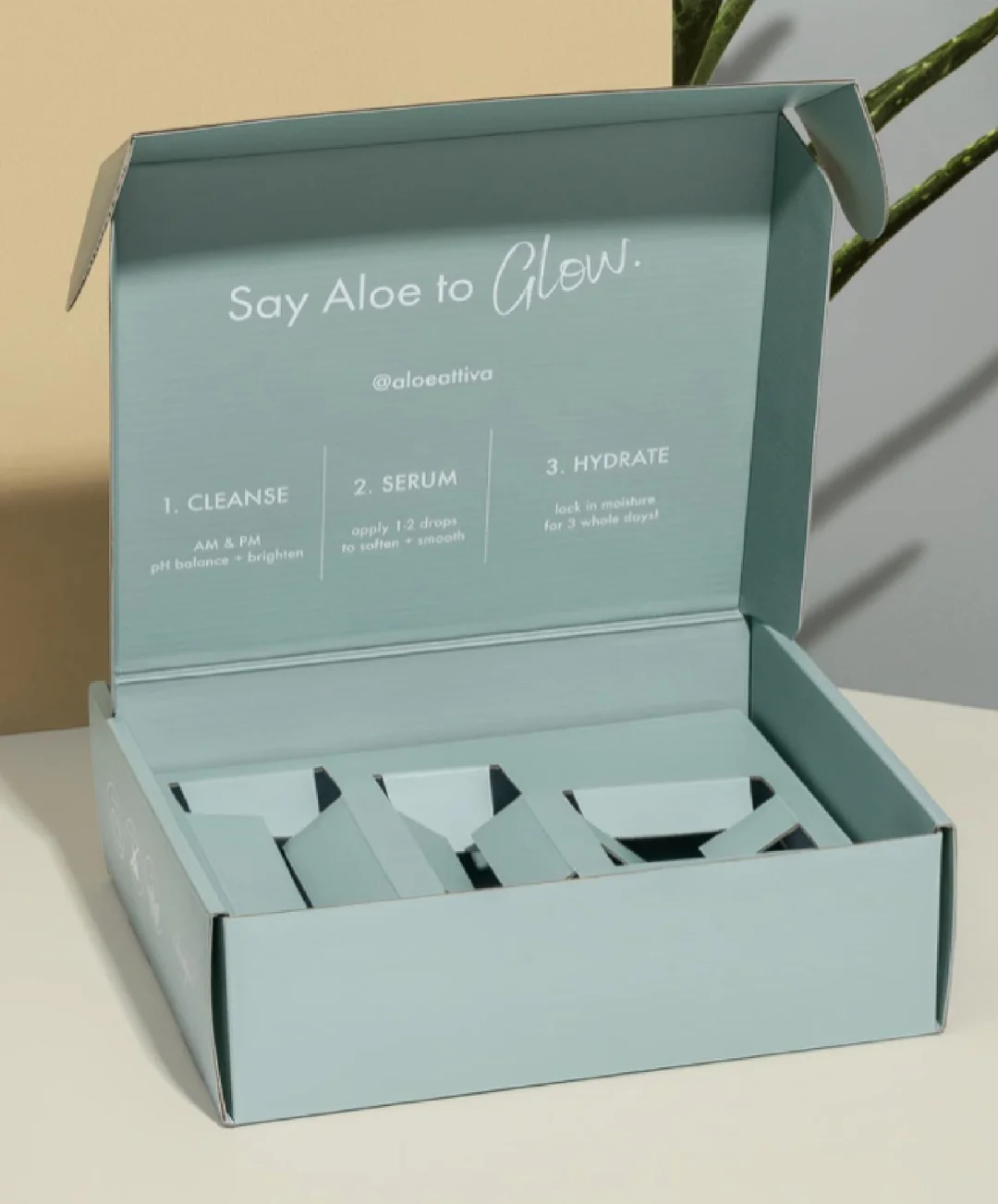 Explore Our Box Styles at Custom Boxes Only